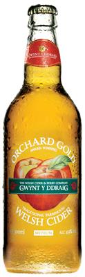 Gwynt Orchard Gold 4,9% 12/50